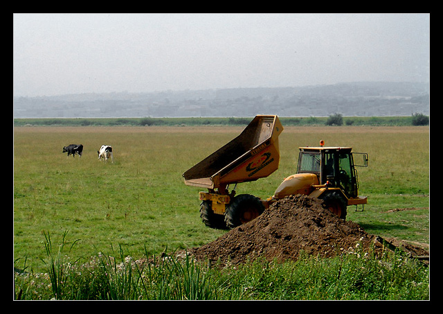 Looking for pastures new