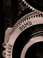 Twin Lens Reflex