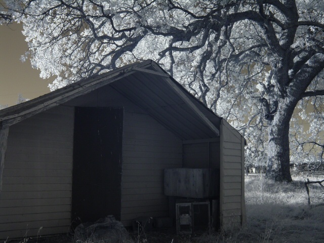 Abandoned Home