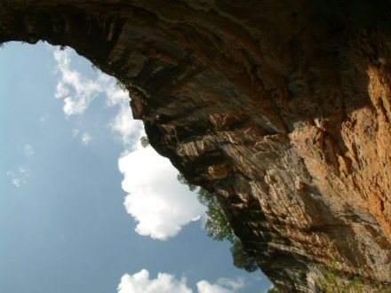 Looking up