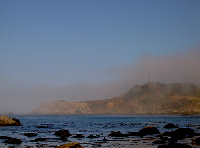Morning on the Sonoma Coast