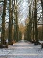 Winter in Holland