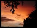summer sunset