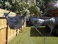 Drying on the Line