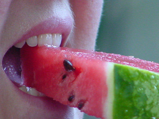 Melon Season