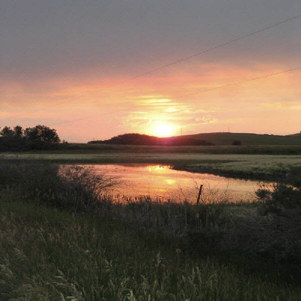 "summerset Glow"