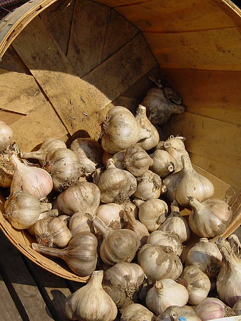 Fragrant Harvest