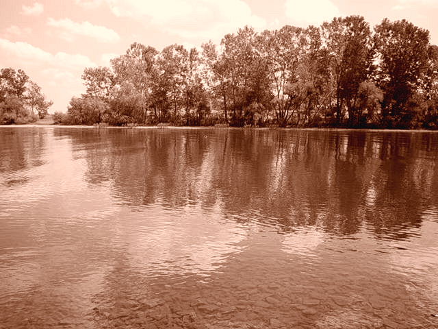 Summer at the Lake