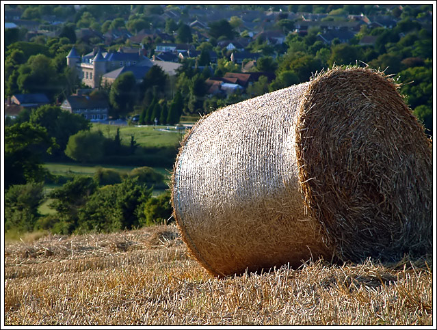 English summer