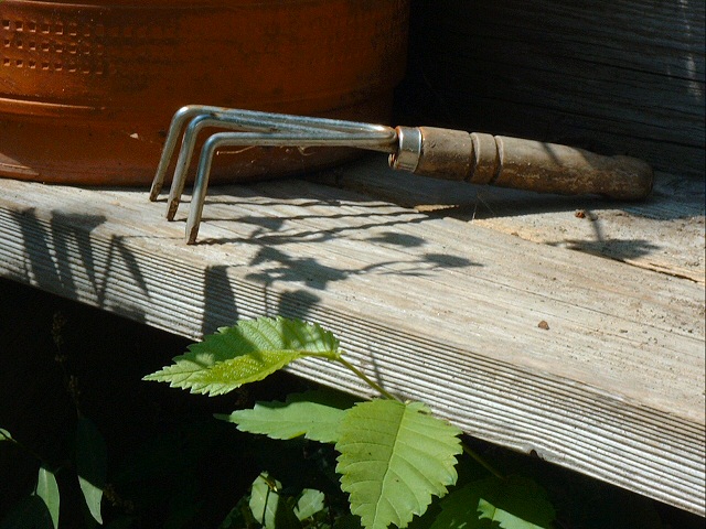 Summer, A Time For Gardening