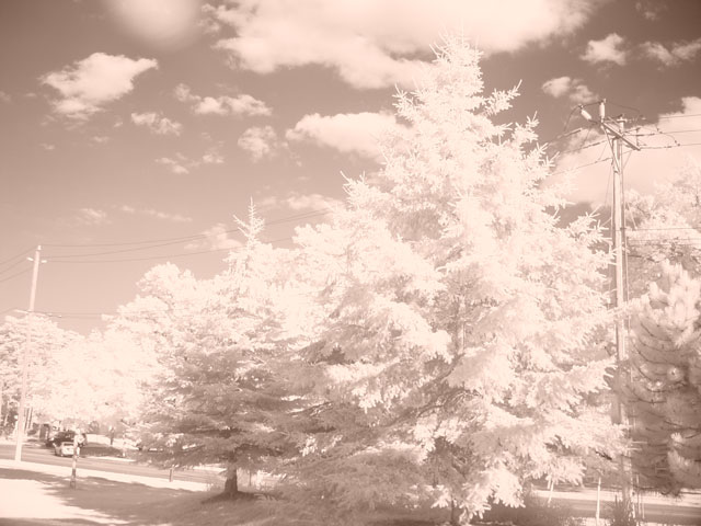 Seasonal Dementia