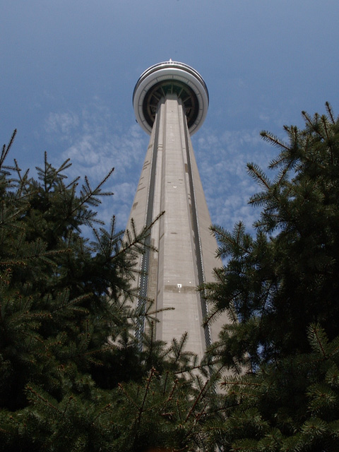 Up the CN Tower