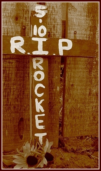 Rest in peace, Rocket Power