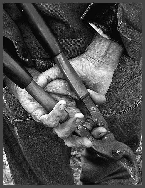 Used  tools