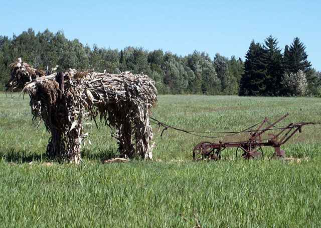 Harnessing the old stalk