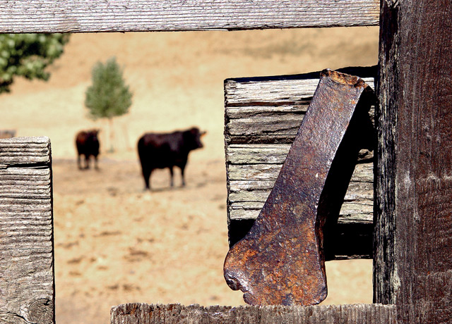 Wood Splitter