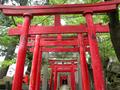 Torii gateway to a shrine