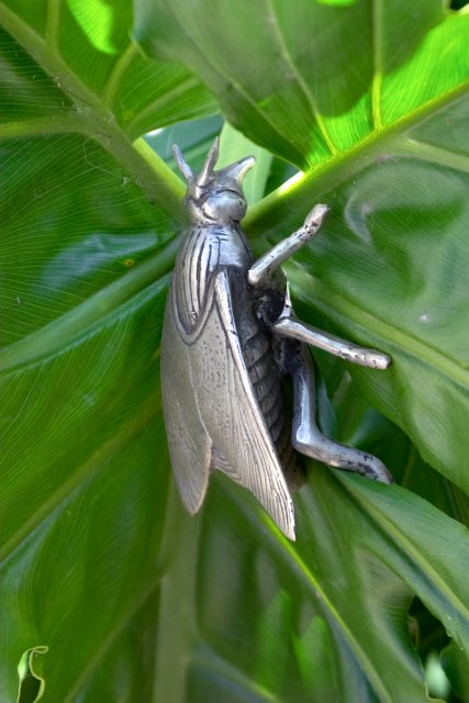 Pewter bug