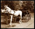 Carriage and pair