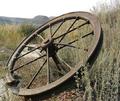 "Old Wheel"