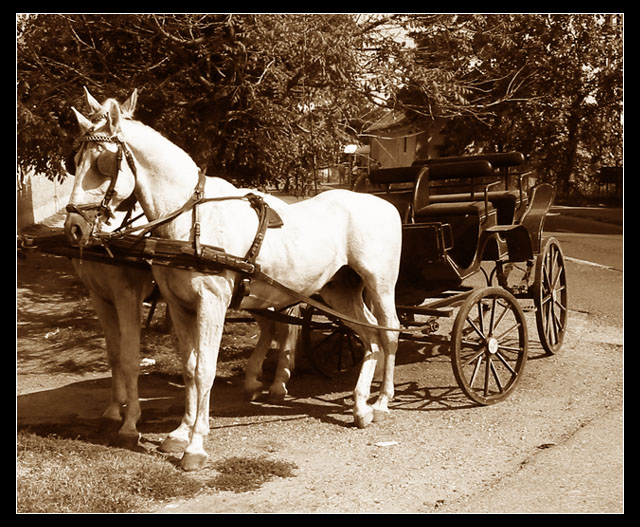 Carriage and pair