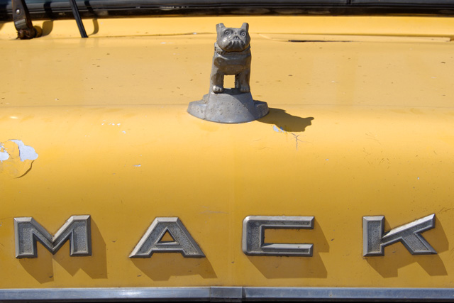 Yellow Mack