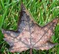 Life's Changing Seasons