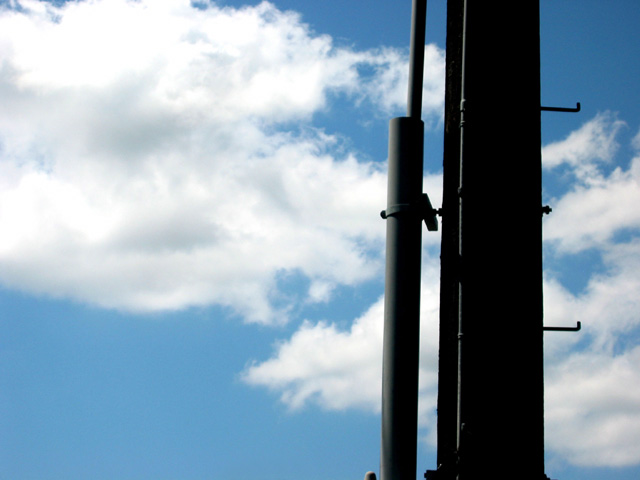 Contemplative Telephone Pole