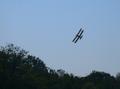 Skimming the treetops