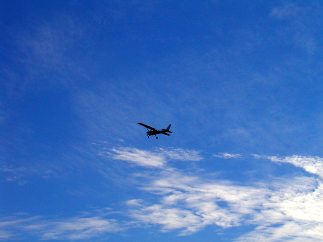 In Flight