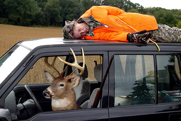 Deer's Revenge!