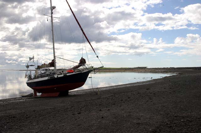 Low Tide Happens