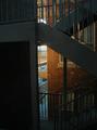 Urban Causeways