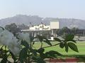 Rose Bowl rose