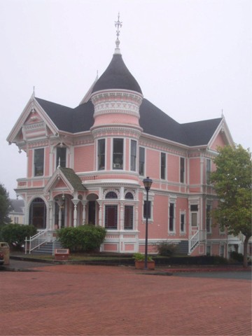 the Pink Lady in the fog
