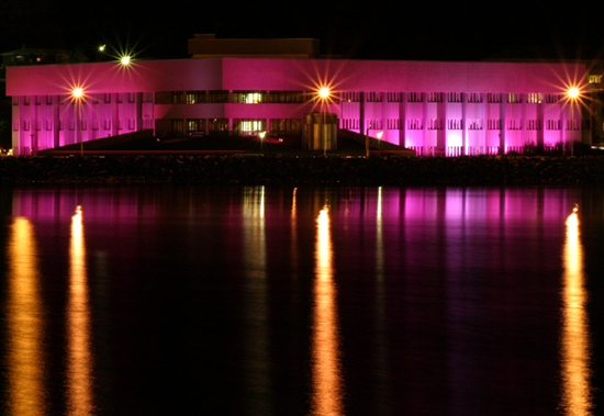 Pink Hospital