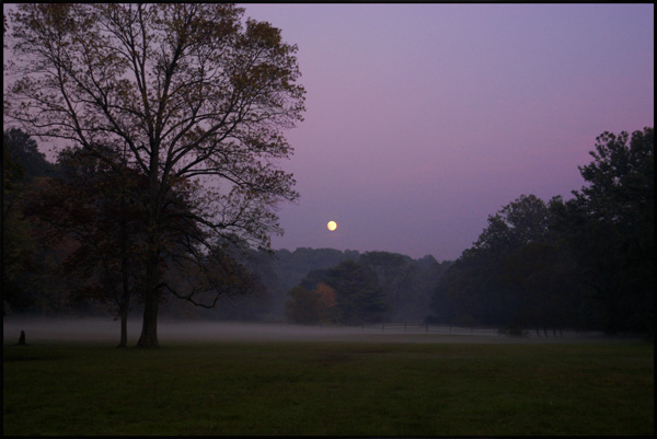 Full Moon Rising