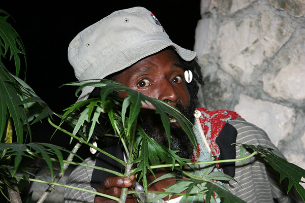 Caught! Amazingly talented gardener at Idle Awhile hotel in Negril, Jamaica.