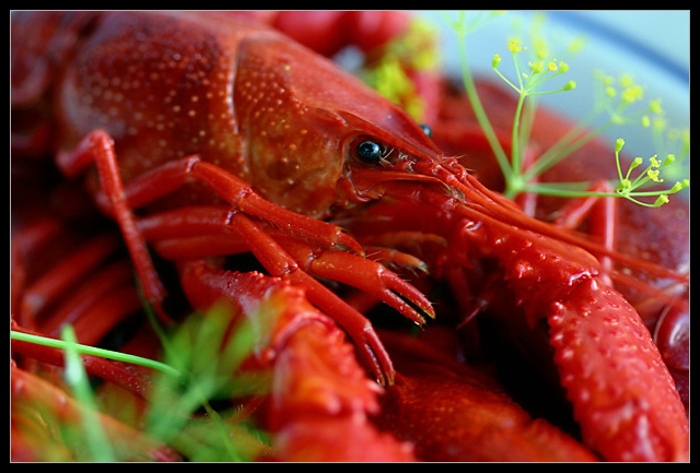 Boiled Crawfish