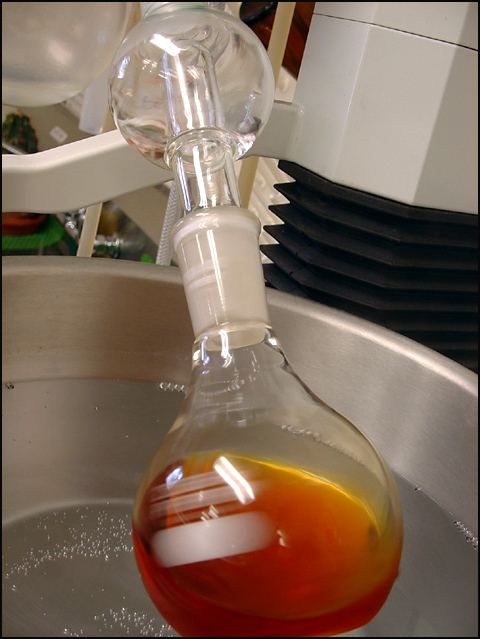Spinning Vacuum Heat Distillation of Bloodroot Extract
