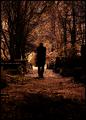 Nightwalk