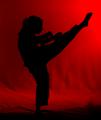 Karate Girl