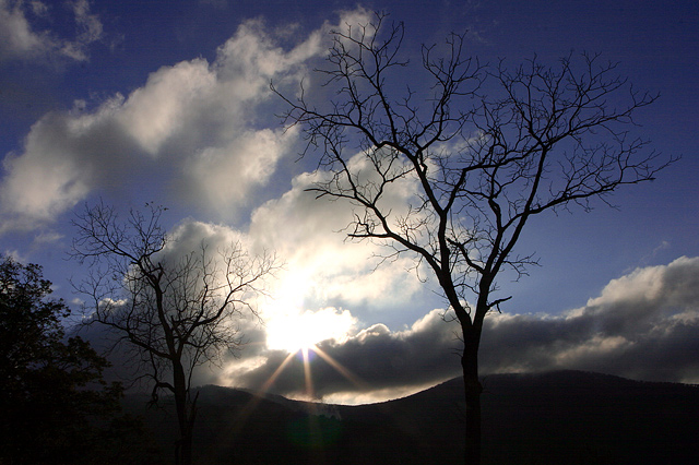 Early Morning Light