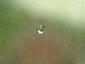 anti gravity bubble