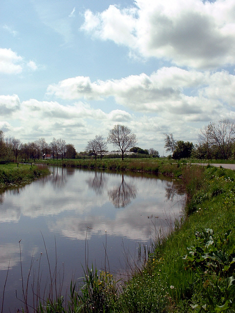 Reflections