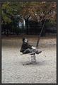 Alone on the playgrounds