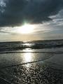 Alone with the Tide