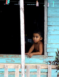 Young boy in the Window