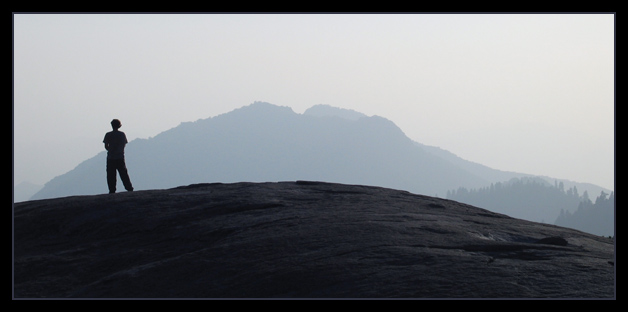 lone wanderer