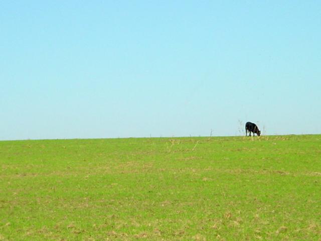 Alone on the range